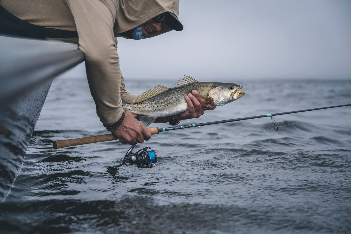 G Loomis GCX INSHORE SPINNING image détaillée 3