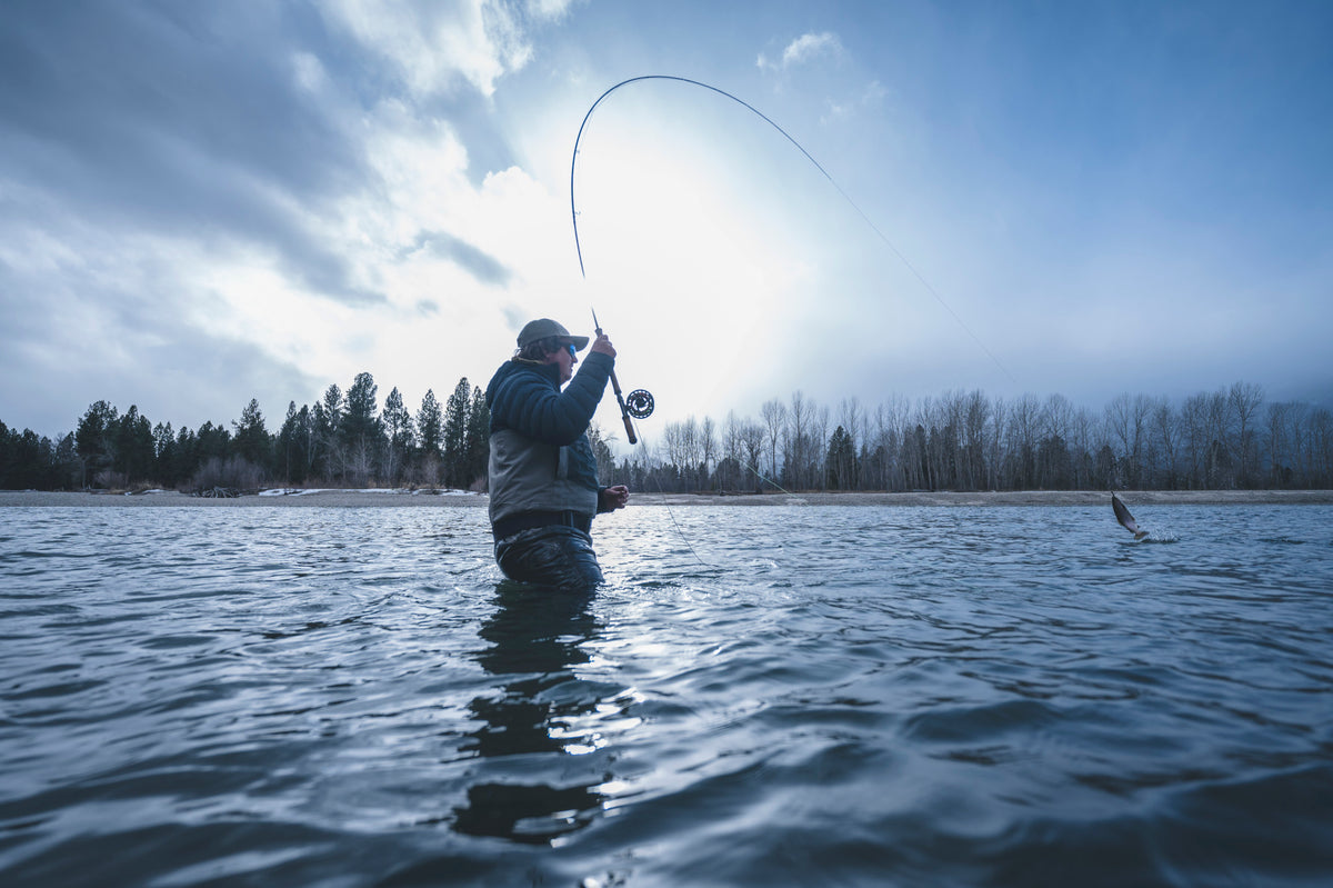 G Loomis IMX-PRO V2 SHORTSPEY image détaillée 2